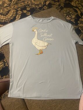 God's Silliest Goose Short Sleeve Tee - Light Blue